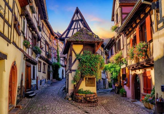 Le Marcellin Colmar - Garage - Terrasse Apartman Kültér fotó